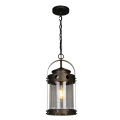 Vintage Steel Outdoor Pendant Lamp